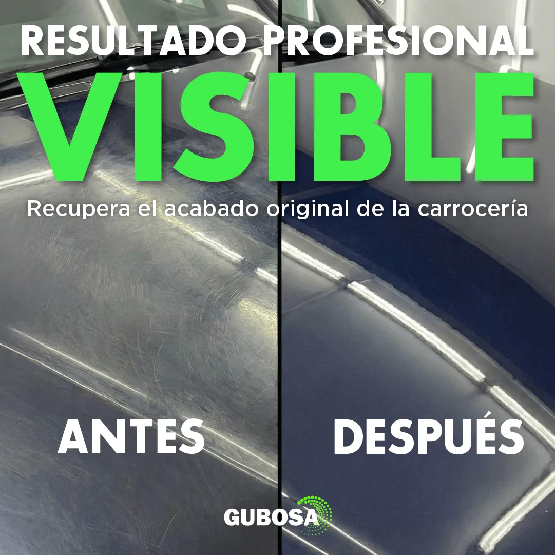 Infografía — aplicación paso a paso — proyecto Gubosa