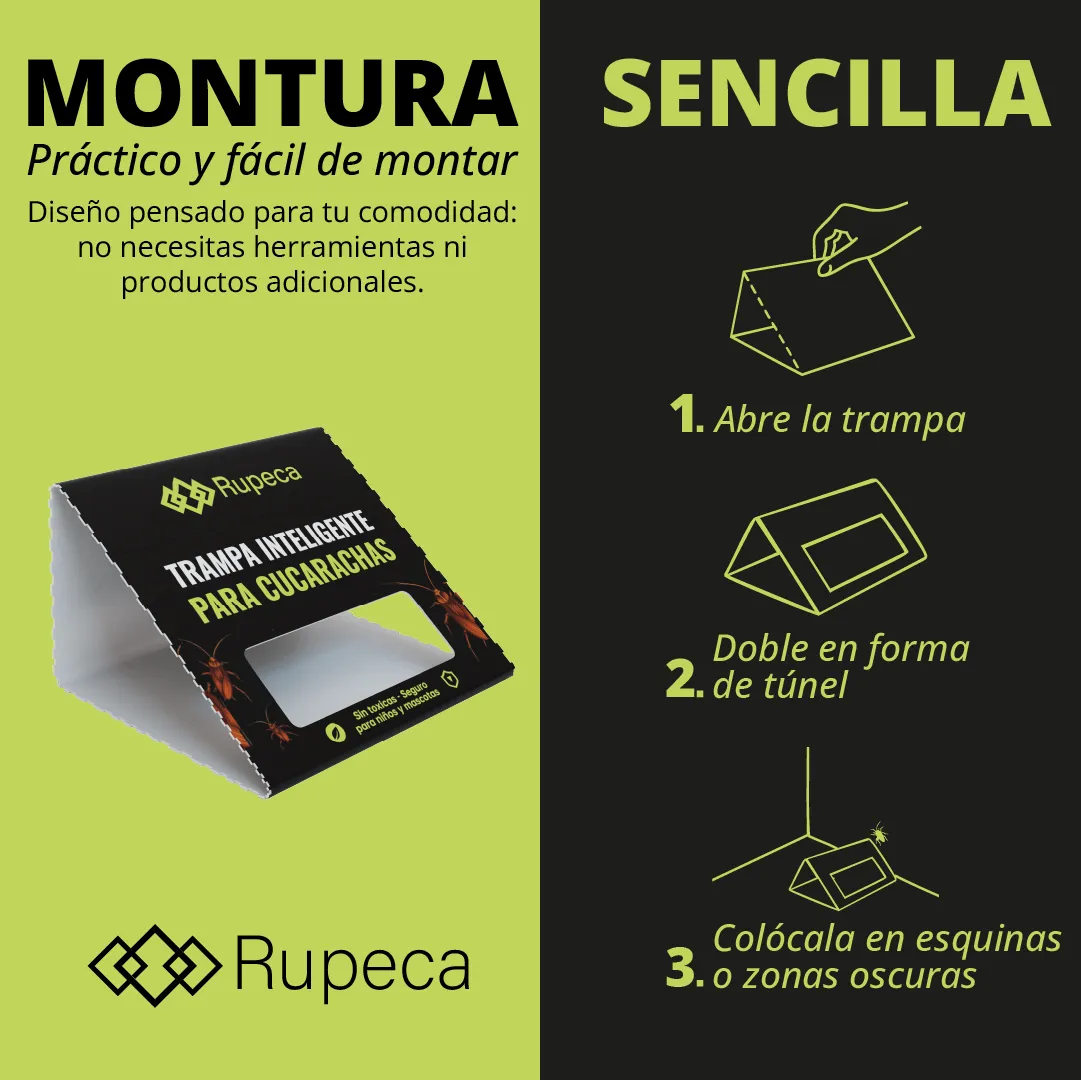 Listado — protección prolongada — proyecto Rupeca