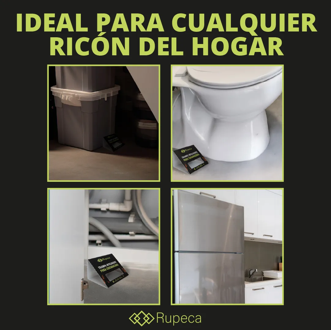 Comparativa — mayor calidad — proyecto Rupeca