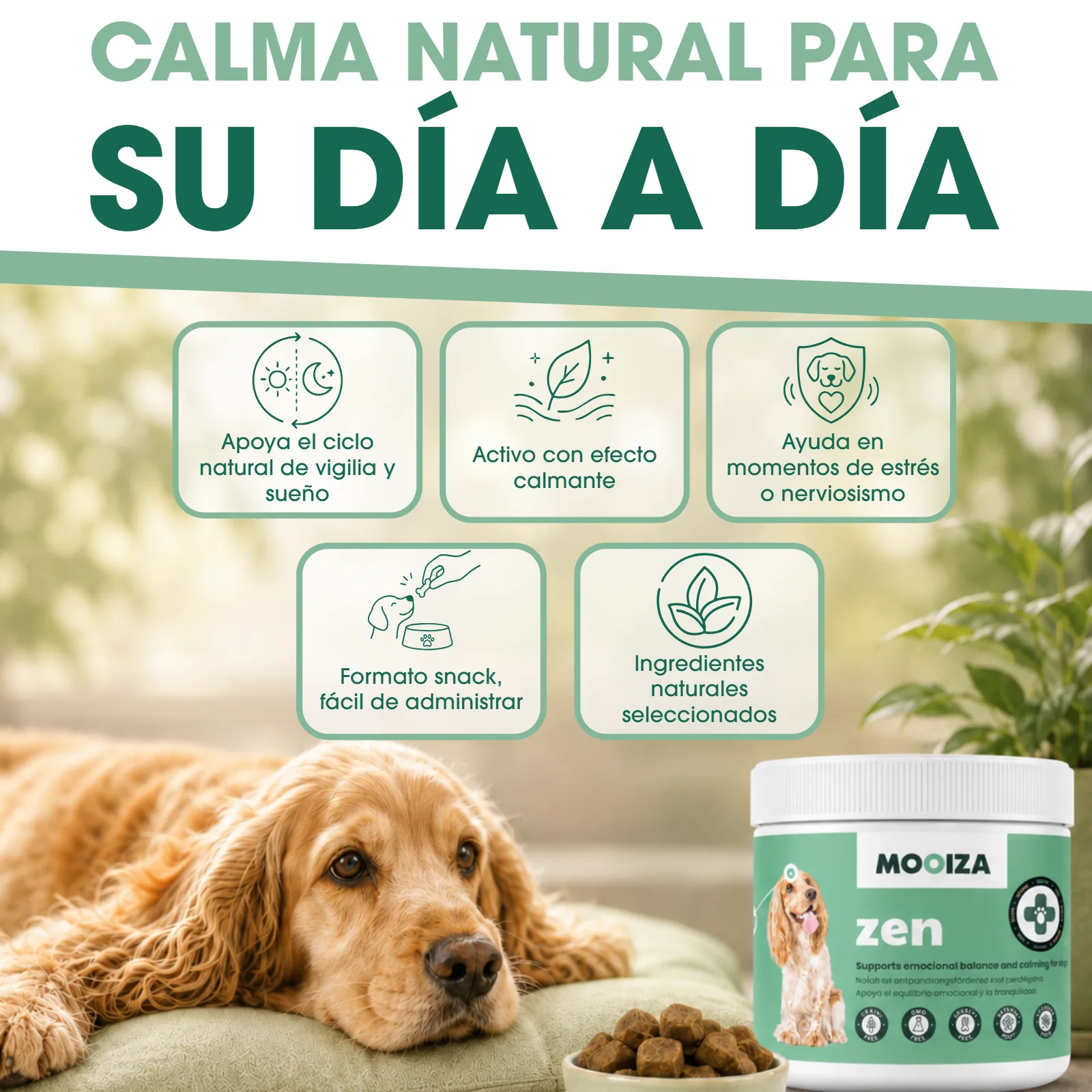 Listado — calma natural para su día a día — proyecto Mooiza