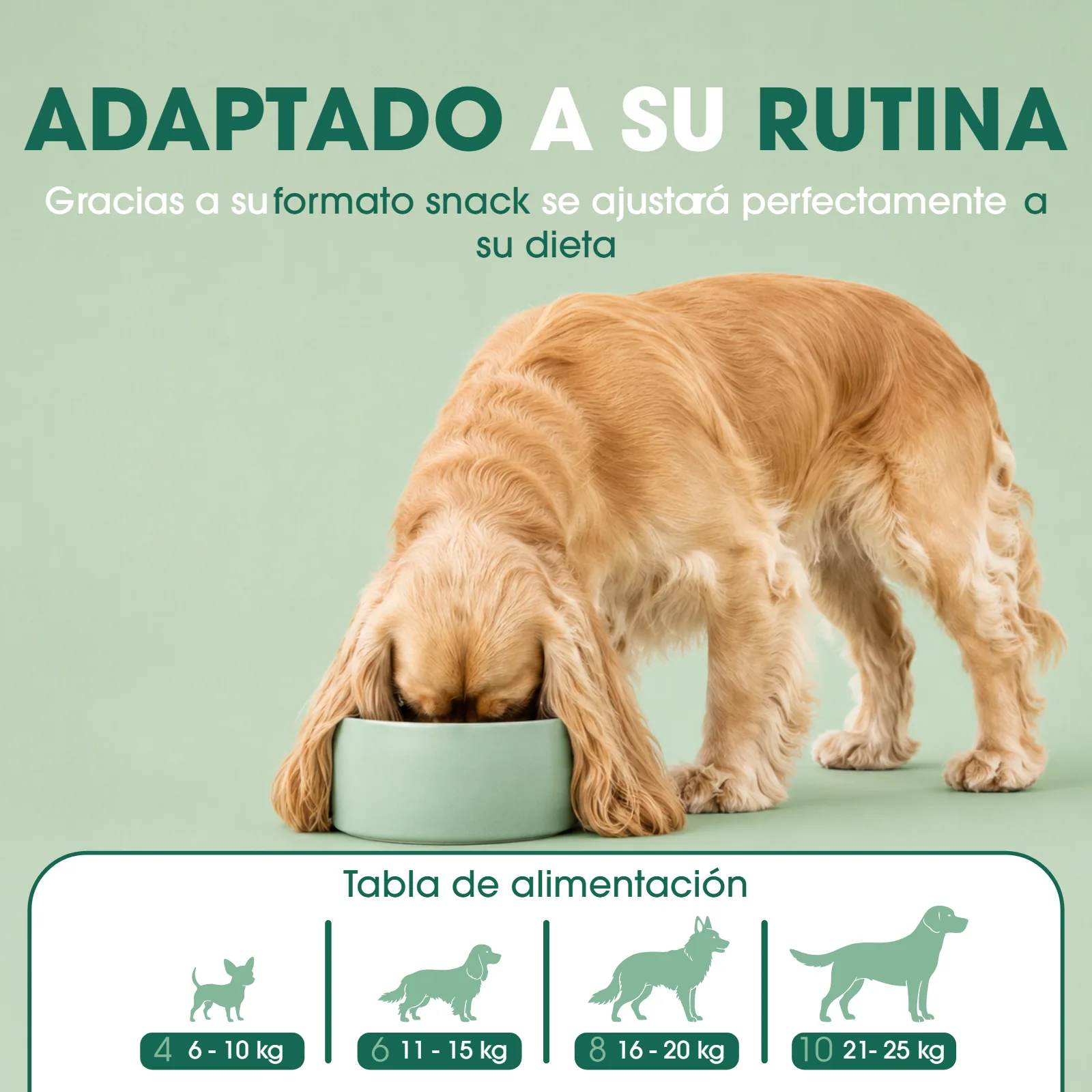 Listado — tabla de alimentación por peso — proyecto Mooiza