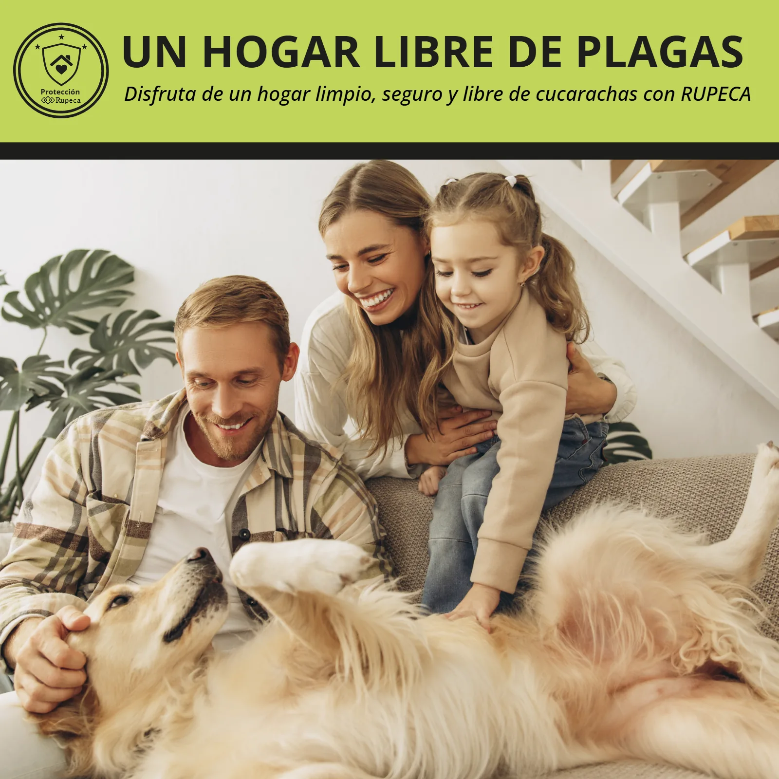 Listado ES — un hogar libre de plagas — proyecto Rupeca